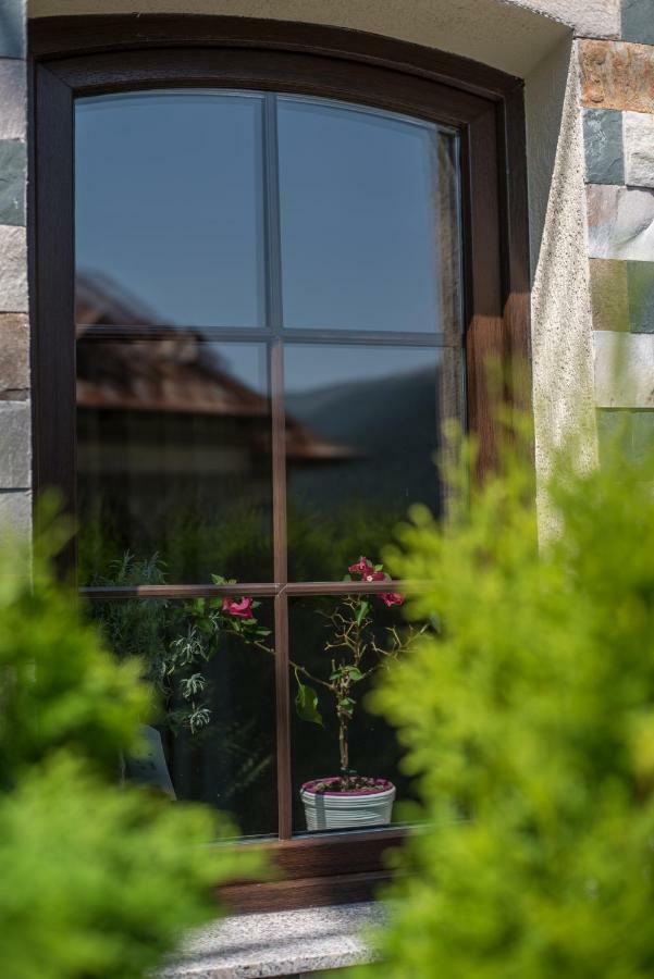 Uphill Residence Sinaia Exteriér fotografie