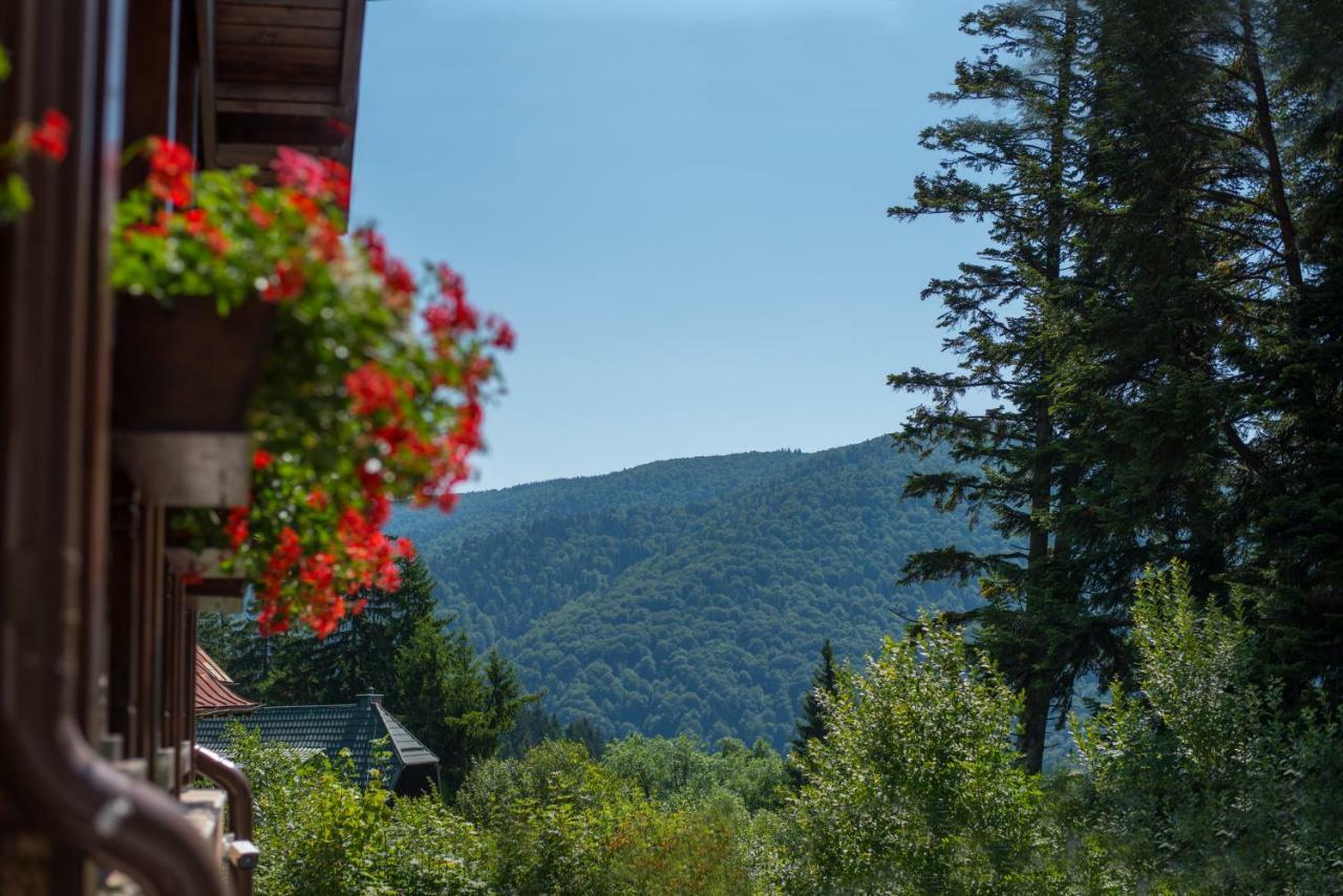Uphill Residence Sinaia Exteriér fotografie