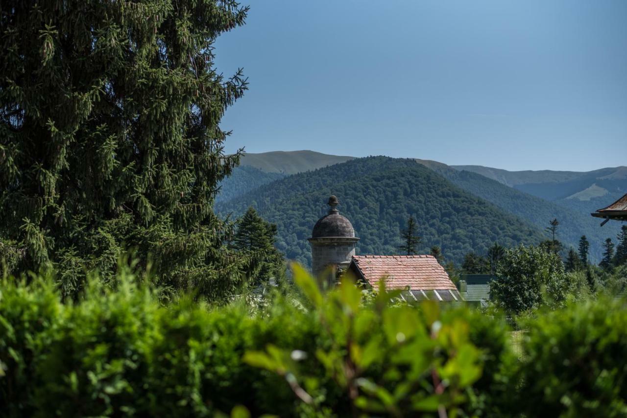 Uphill Residence Sinaia Exteriér fotografie